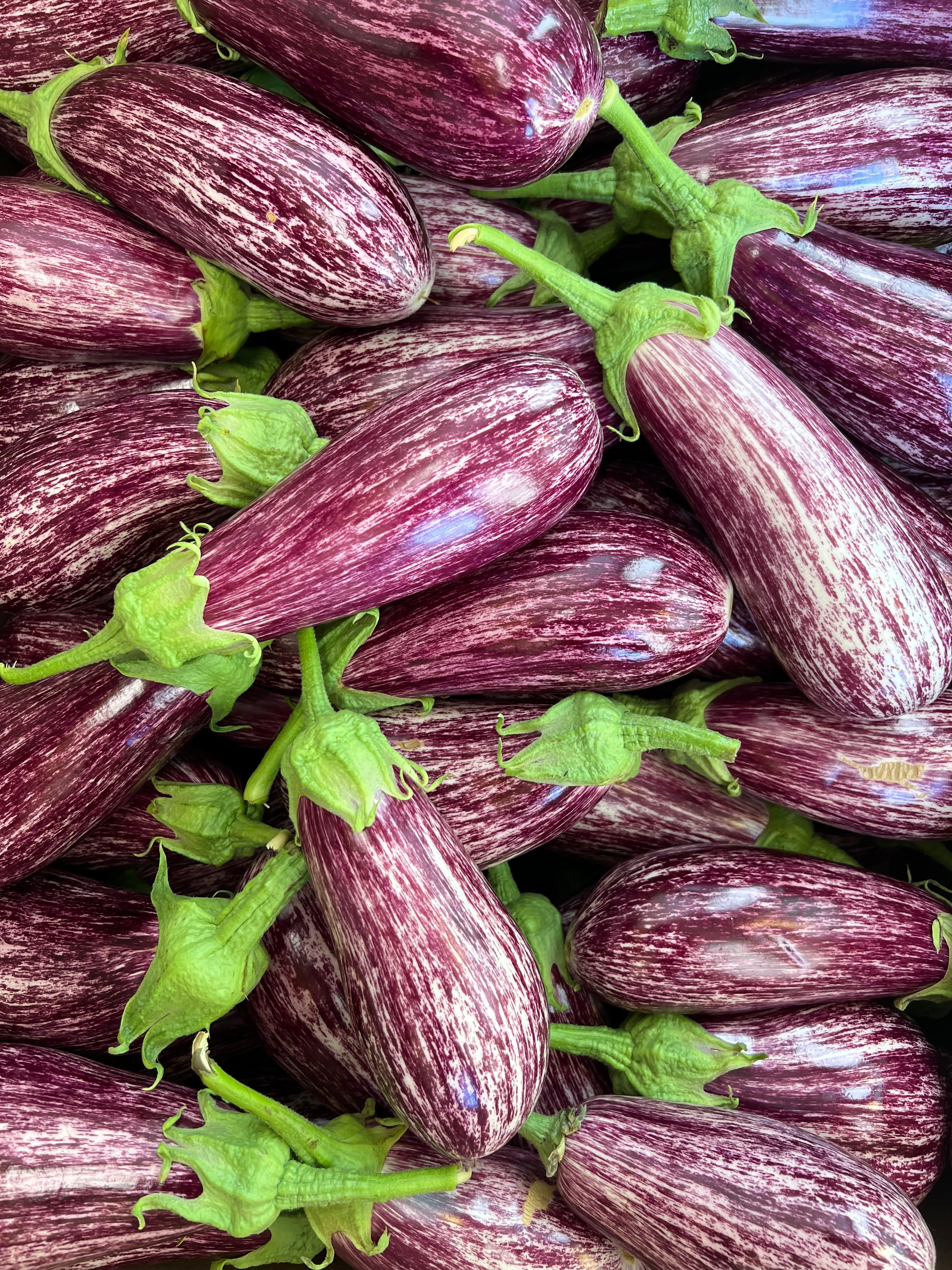 Eggplant