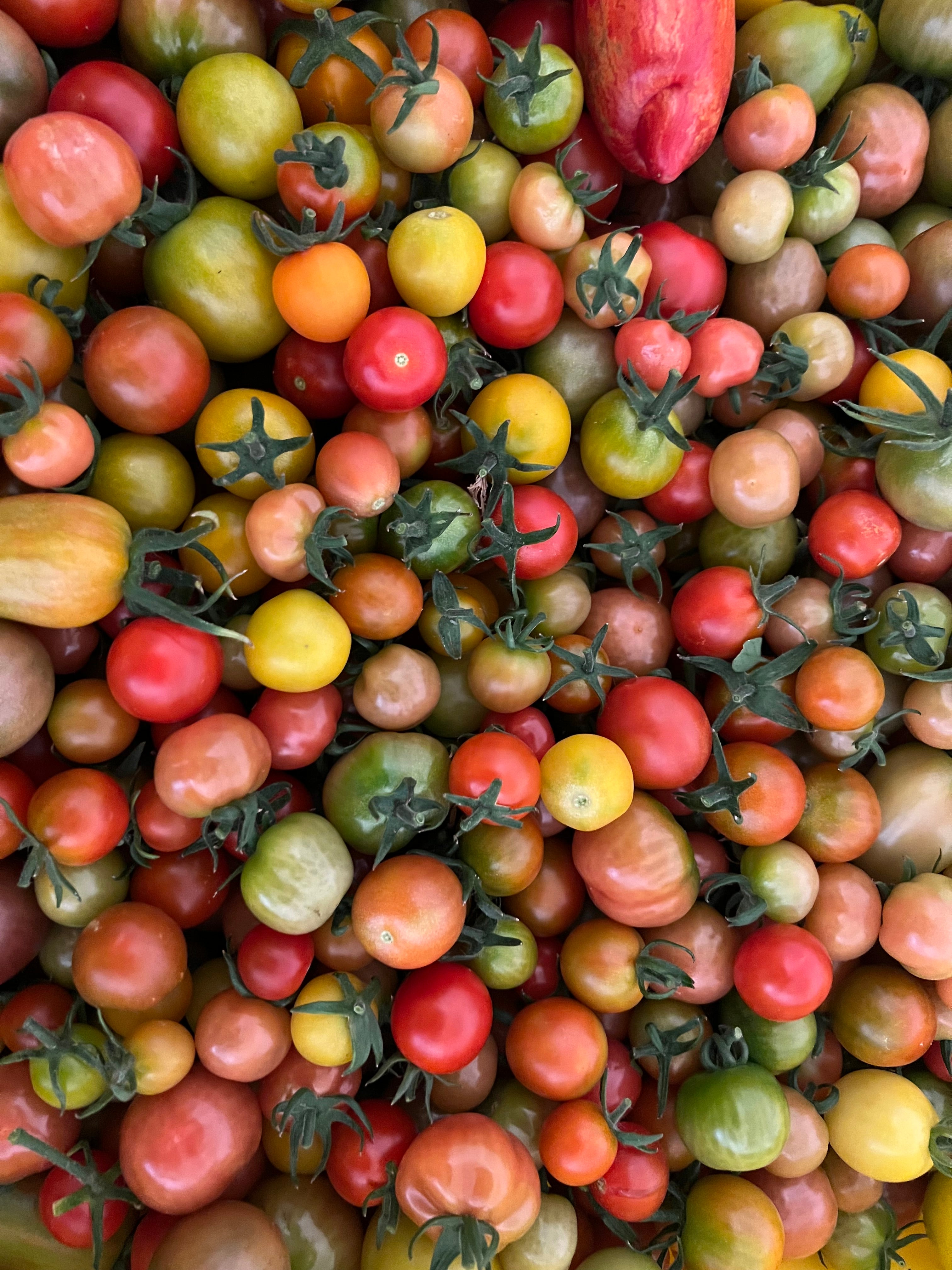 Cherry Tomatoes